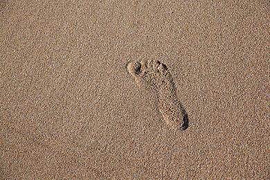 卡牌策略游戏《代号肉鸽：流放之地》Steam页面上线 支持中文